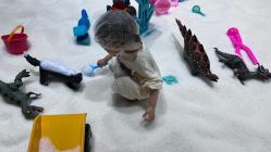 -宝燕乐园(闵行旗舰店)