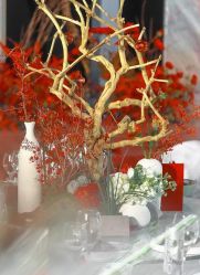 -天邑国际酒店·宴会厅