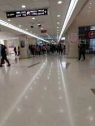 -复旦大学附属妇产科医院(杨浦院区)