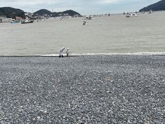 -乌石塘景区