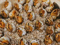 -侨美·唐荔园·40年地道粤菜