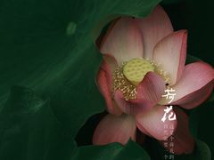 -梁鸿国家湿地公园