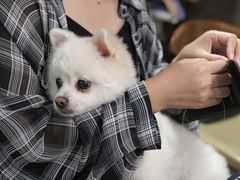 -零几体验diy皮具工作室(振业城店)