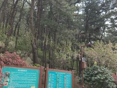 -崂山仰口游览区