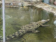 -香港海洋公园