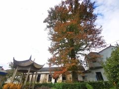 -鹿亭中村