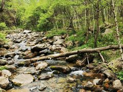 -玉渡山自然风景区