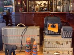-Goyard 高雅德(国贸商城店)