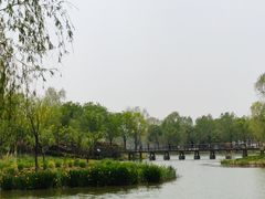 -东郊湿地公园