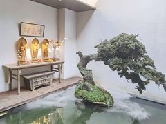 -觀芷隐轩