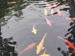 -千滋百味·醉江澜花园餐厅(街道口店)