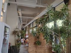 -长春藤咖啡(北园店)