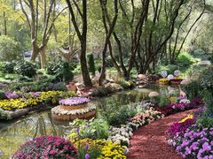 -上海共青森林公园