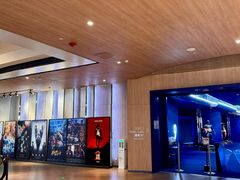 -SFC上影影城(港汇永华IMAX激光店)