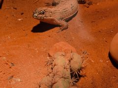 -多彩贵州城极地海洋世界