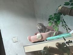 -青藏高原野生动物园