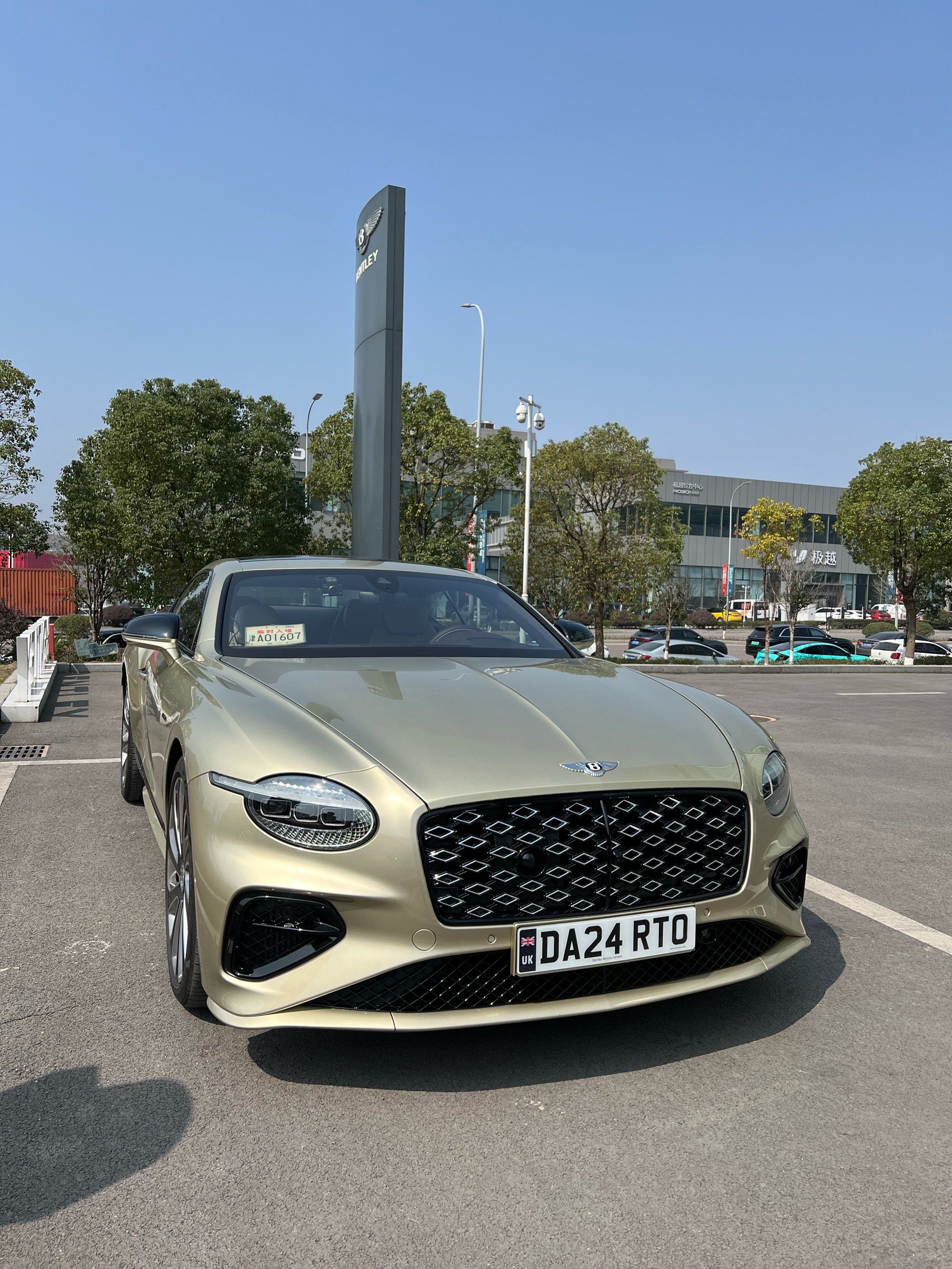 就是被英国车牌吸引了,比蓝牌和绿牌好看太多了,这个车身颜色是铂彩金