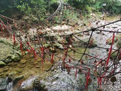 -南海湾森林生态园