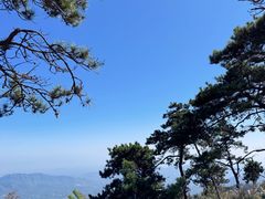 -沂蒙山旅游区云蒙景区(蒙山国家森林公园)