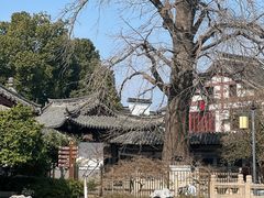 -常熟方塔园