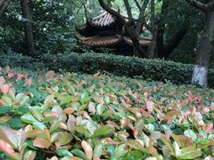-临平公园(临平街道)