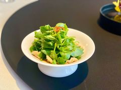 醋汁田七苗-逸道(益丰·外滩源店)