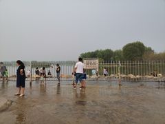 -太平河公园