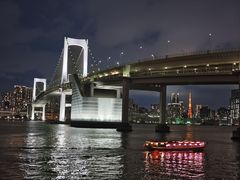 -台场海滨公园船码头
