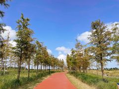 -春花秋色城市公园