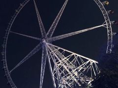 -锦江乐园舞狸花花游园会(夜场专享)