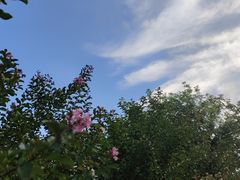 -白鹭洲公园