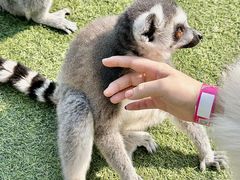 -汤山紫清湖旅游区