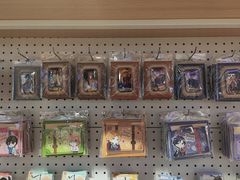 -IPSTAR|潮玩星球(新百店)