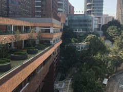 -香港大学