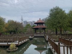 -五缘湾湿地公园