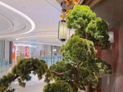 -重庆德庄火锅(映月湖环宇城店)