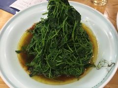 酒香金花菜-王记姚家味·地道苏帮菜(凤凰街店)