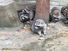 -杭州野生动物世界