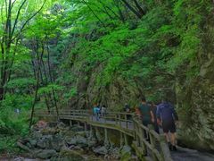 -牛背梁国家森林公园