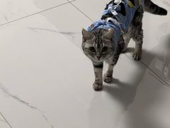 -美联众合动物医院·24h京西诊疗中心