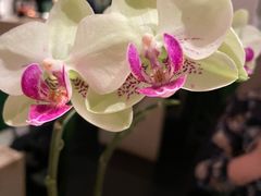 -Carmen卡门西班牙餐厅