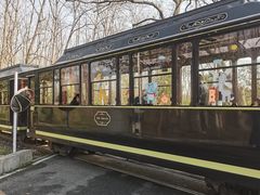 -合肥滨湖国家森林公园