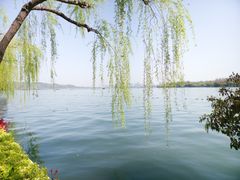 -浙江西子宾馆·牡丹厅