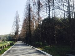 -同里国家湿地公园