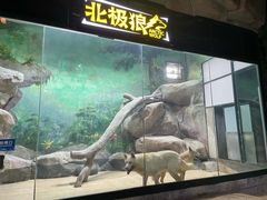 -福州罗源湾海洋世界旅游区