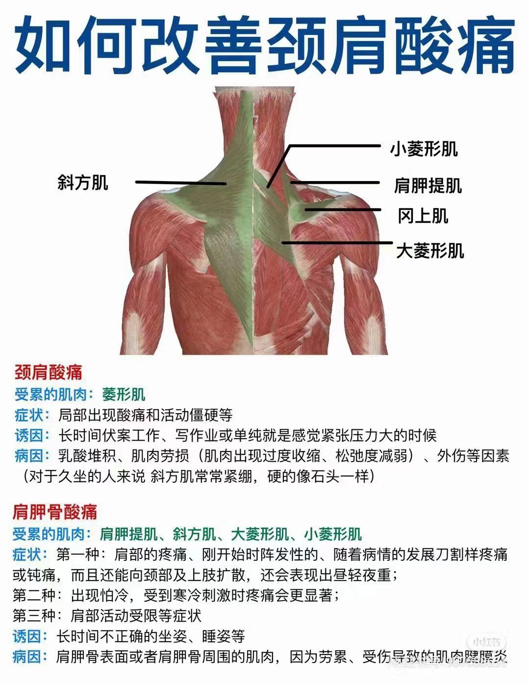 如何缓解颈肩酸痛
颈‮酸肩‬痛