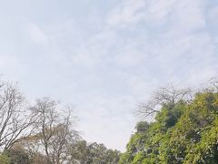-桂林独秀峰王城景区