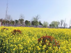 -歌斐颂巧克力小镇