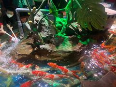 -太平洋海底世界