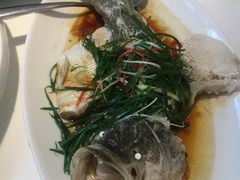 -至潮餐厅精致粤菜·活鲈鱼·走地鸡(珠江新城店)